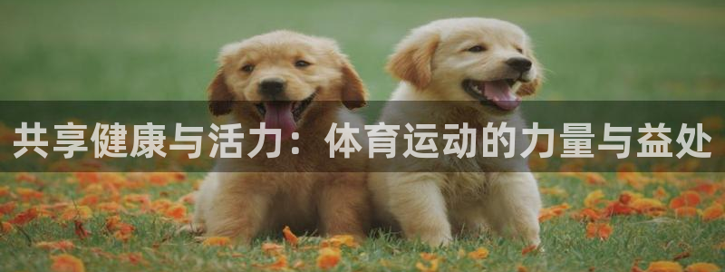 xc体育app官方网站：共享健康与活力：体育运动的力量与益处