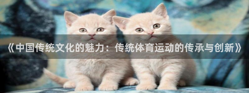 xc体育：《中国传统文化的魅力：传统体育运动的传承与创新》