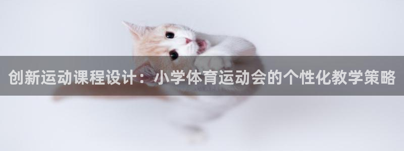 xc体育：创新运动课程设计：小学体育运动会的个性化教学策略