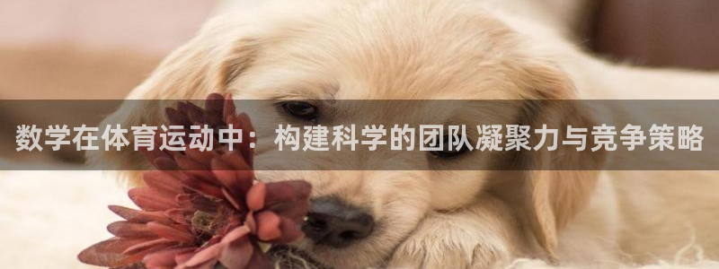 xc体育app官方网站：数学在体育运动中：构建科学的团队凝聚力与竞争策略