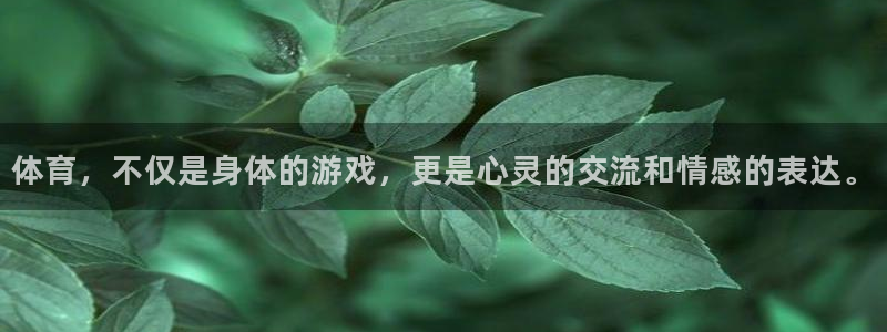 xc体育：体育，不仅是身体的游戏，更是心灵的交流和情感的表达。