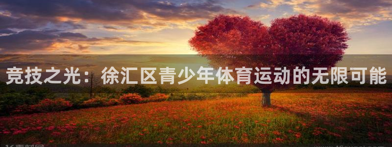 xc体育：竞技之光：徐汇区青少年体育运动的无限可能