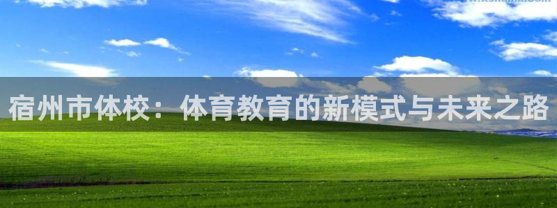 xc体育：宿州市体校：体育教育的新模式与未来之路