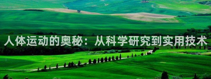 xc体育app官方网站：人体运动的奥秘：从科学研究到实用技术